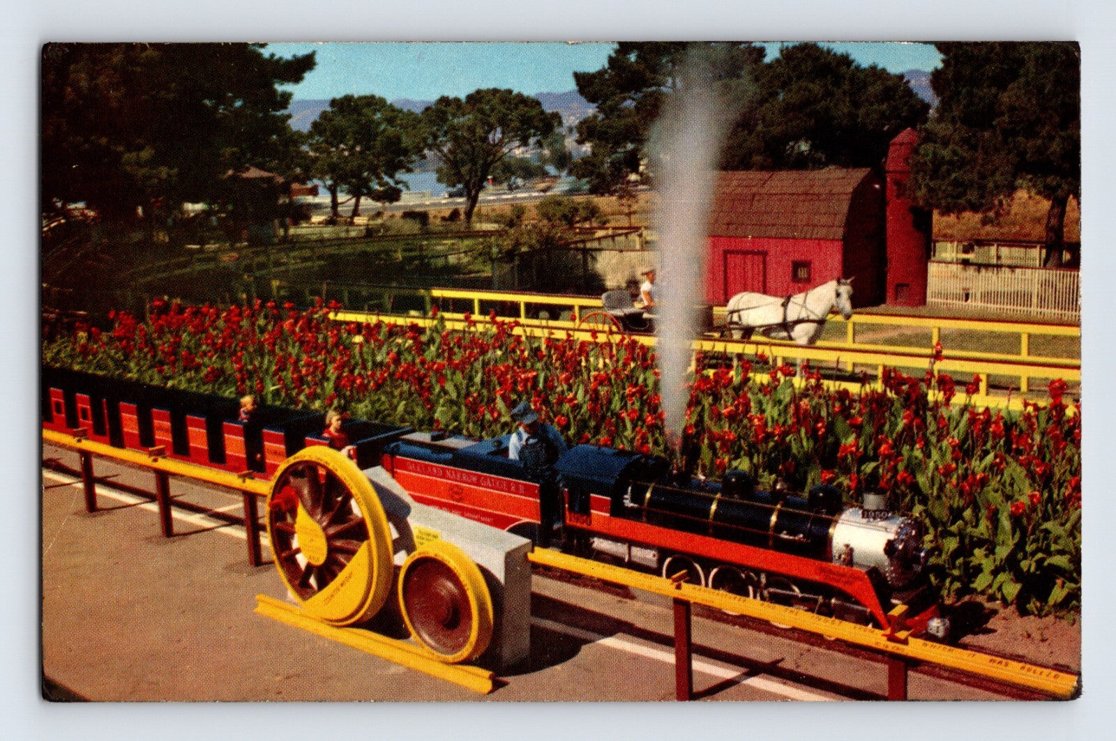 Oakland California Peralta Playland Acorn miniature steam train amusement ride postcard
