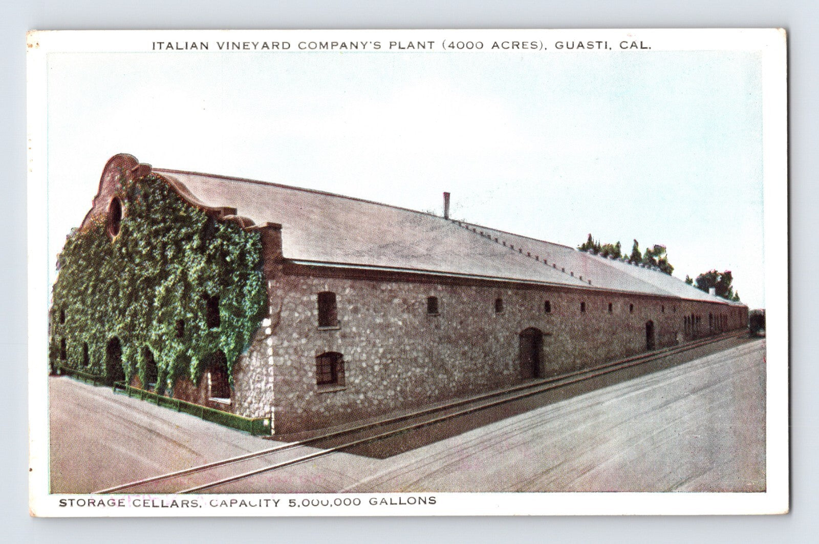 Italian Vineyard Company plant in Guasti California showing long stone wine cellar building with ivy-covered corner and adjacent rail line, early twentieth-century view