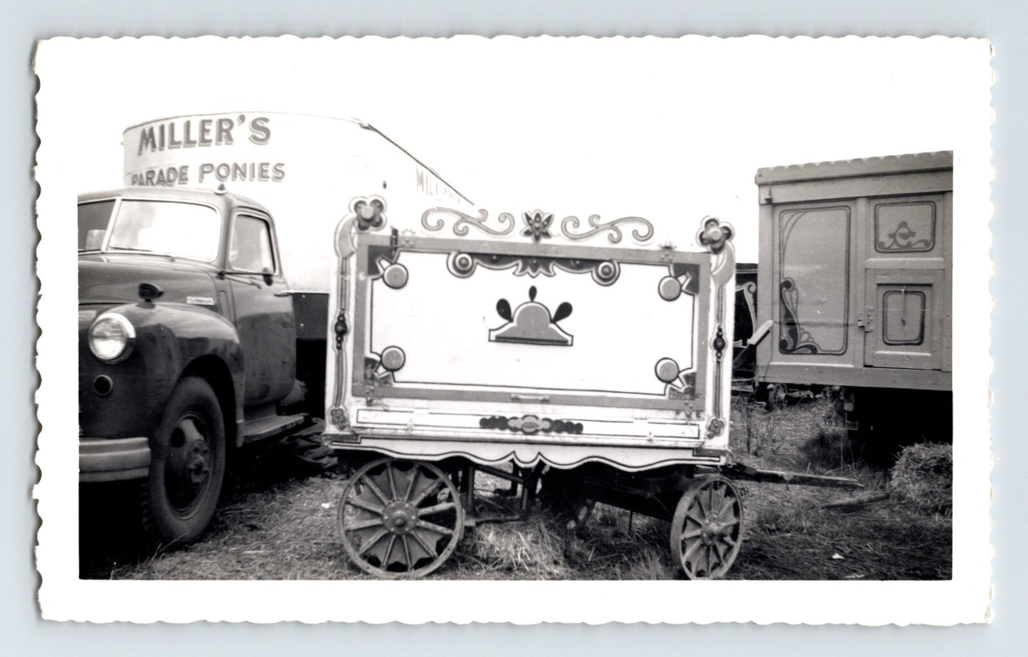 King Bros Circus 1952 Miller Parade Ponies wagon truck black and white photo 3.5 x 5
