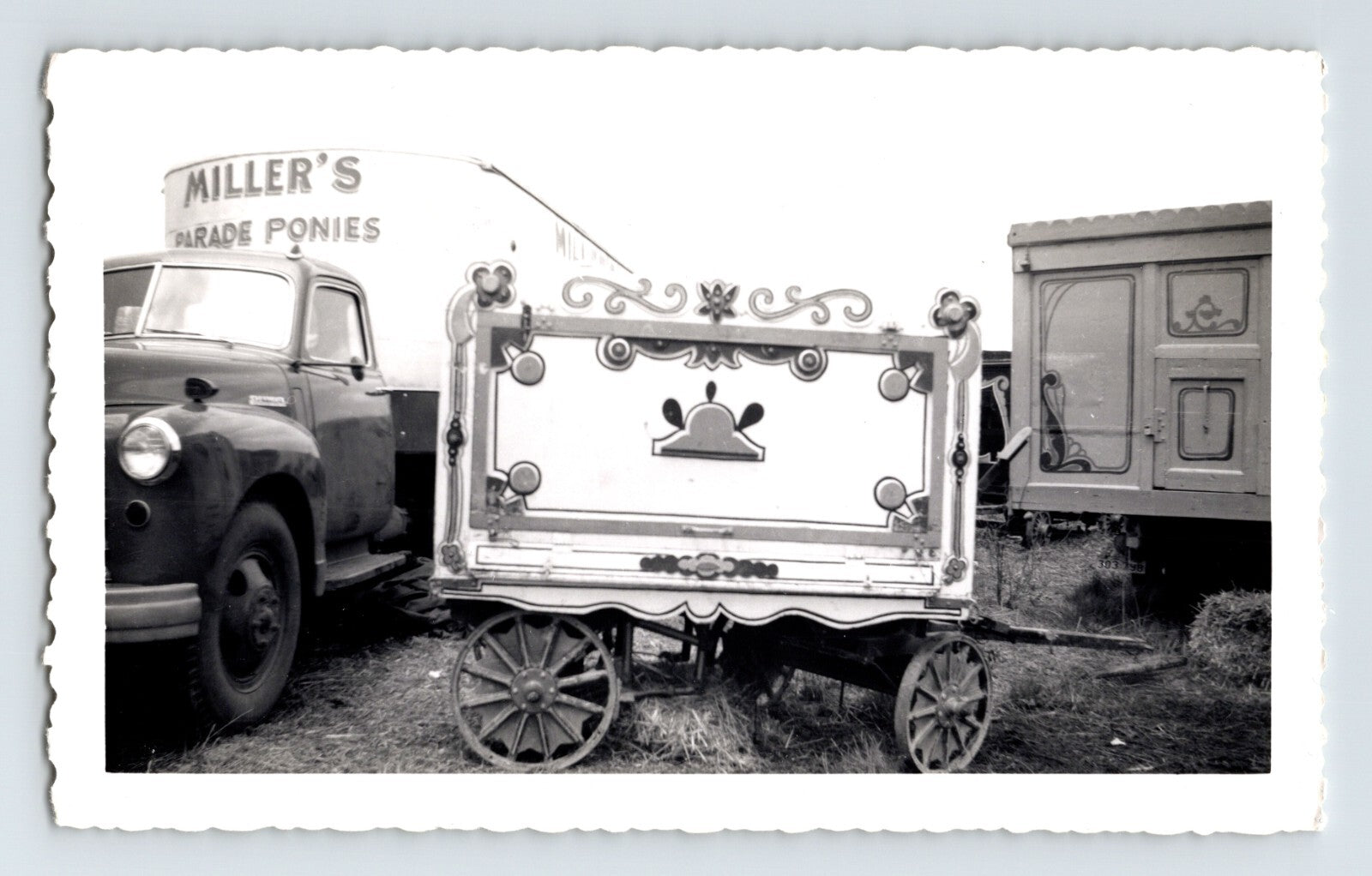King Bros Circus 1952 Miller Parade Ponies wagon truck black and white photo 3.5 x 5