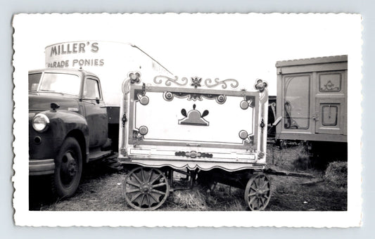 King Bros Circus 1952 Miller Parade Ponies wagon truck black and white photo 3.5 x 5