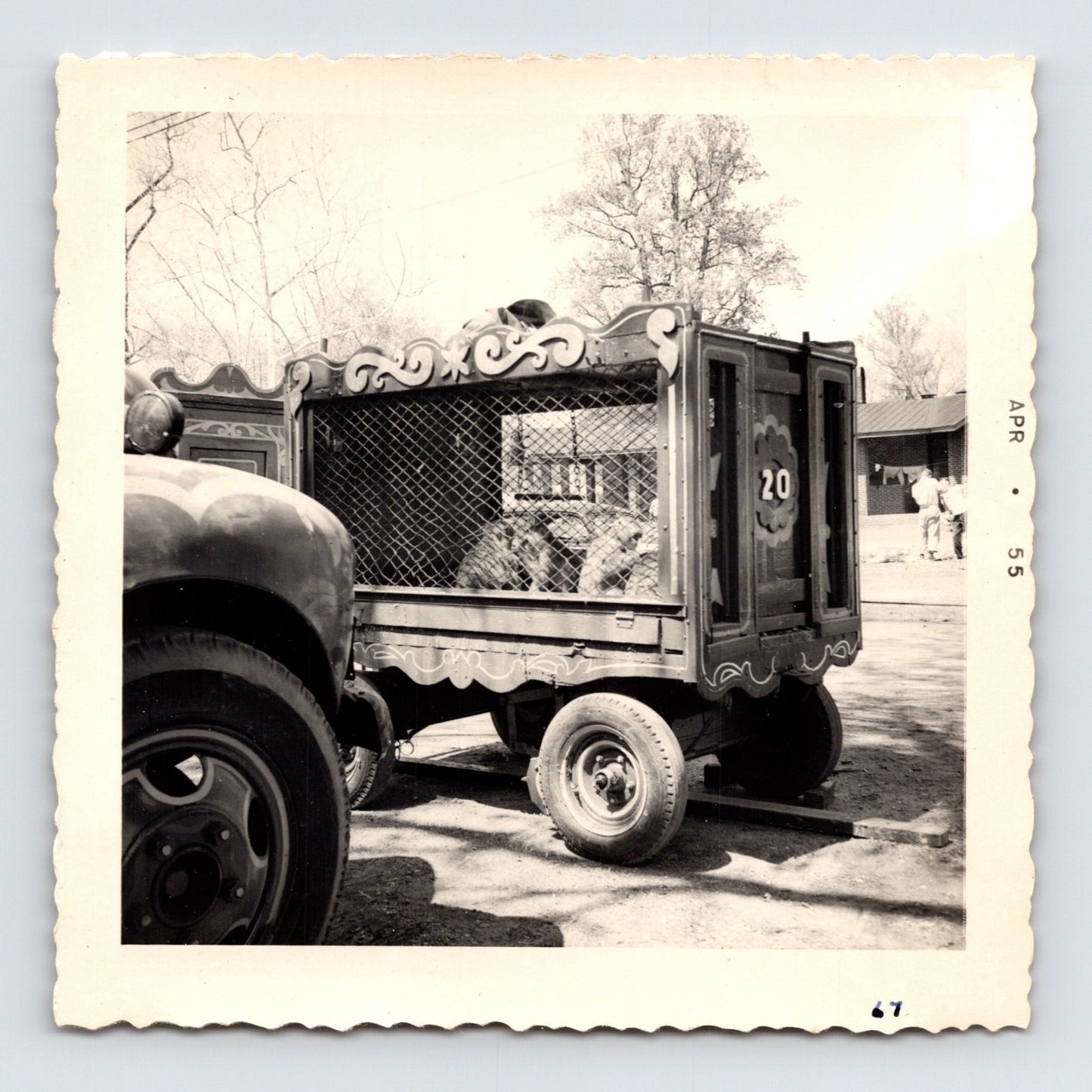 King Bros Circus 1955 animal cage wagon number 20 barred side transport trailer photo