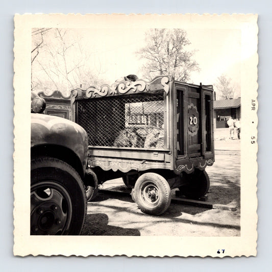 King Bros Circus 1955 animal cage wagon number 20 barred side transport trailer photo