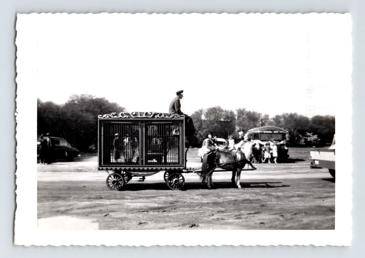 King Cristiani Circus pony wagon cage horse 1950s vintage photo