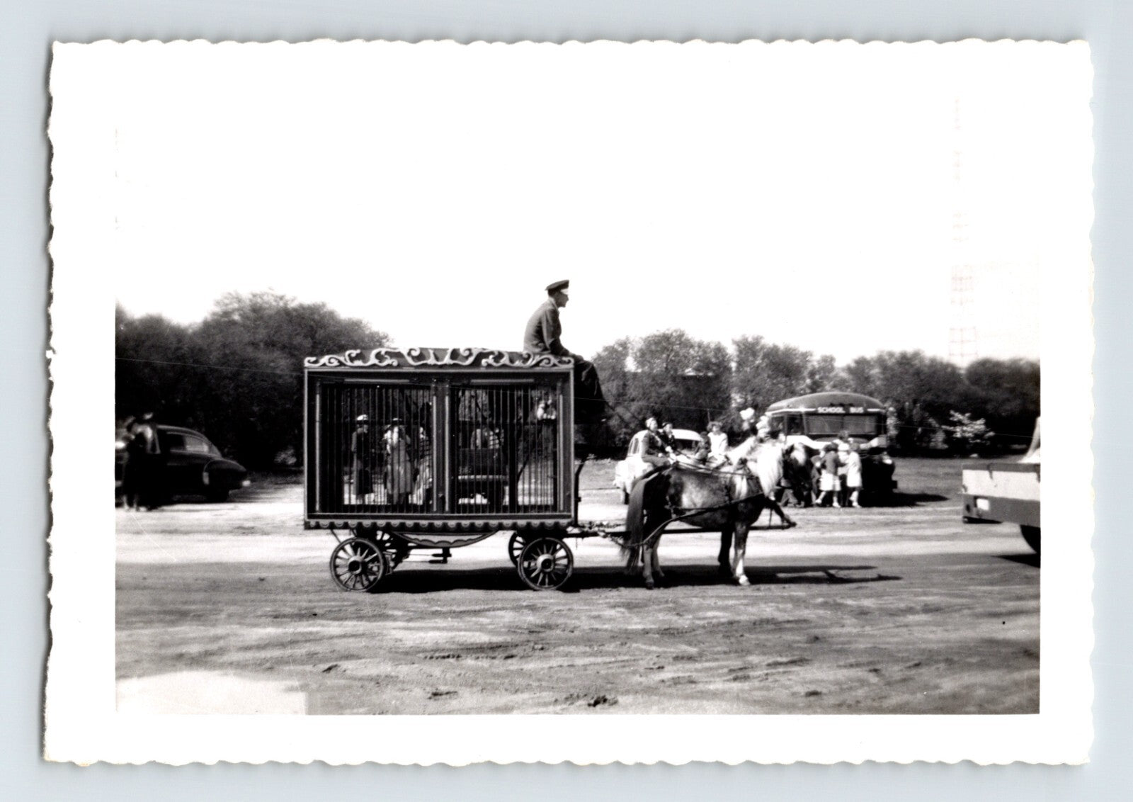 King Cristiani Circus pony wagon cage horse 1950s vintage photo