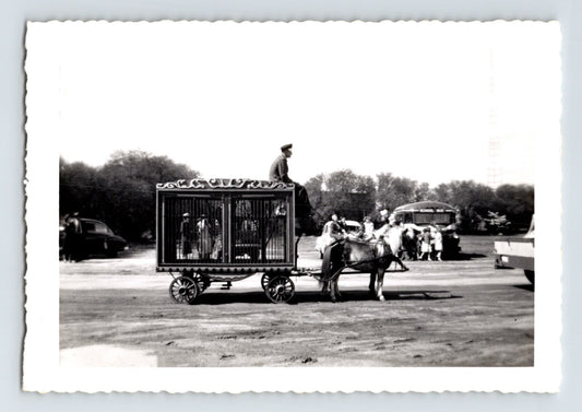 King Cristiani Circus pony wagon cage horse 1950s vintage photo
