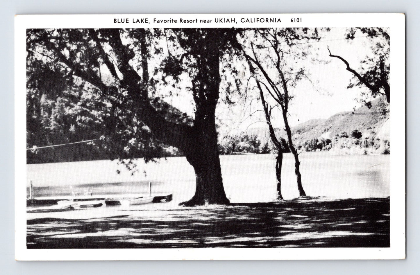Ukiah California Blue Lake resort lakeshore trees Mendocino County postcard