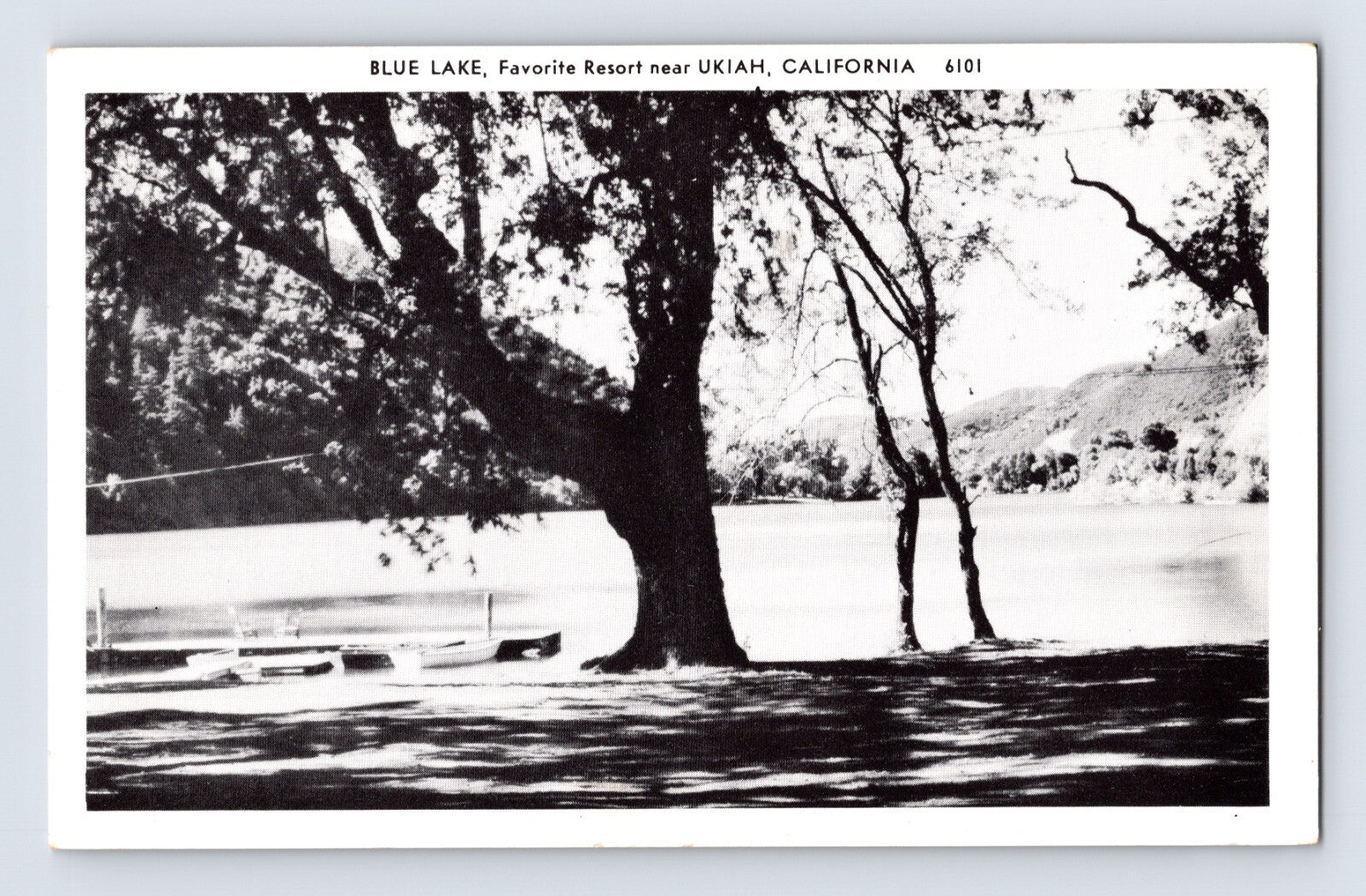 Ukiah California Blue Lake resort lakeshore trees Mendocino County postcard