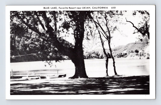 Ukiah California Blue Lake resort lakeshore trees Mendocino County postcard