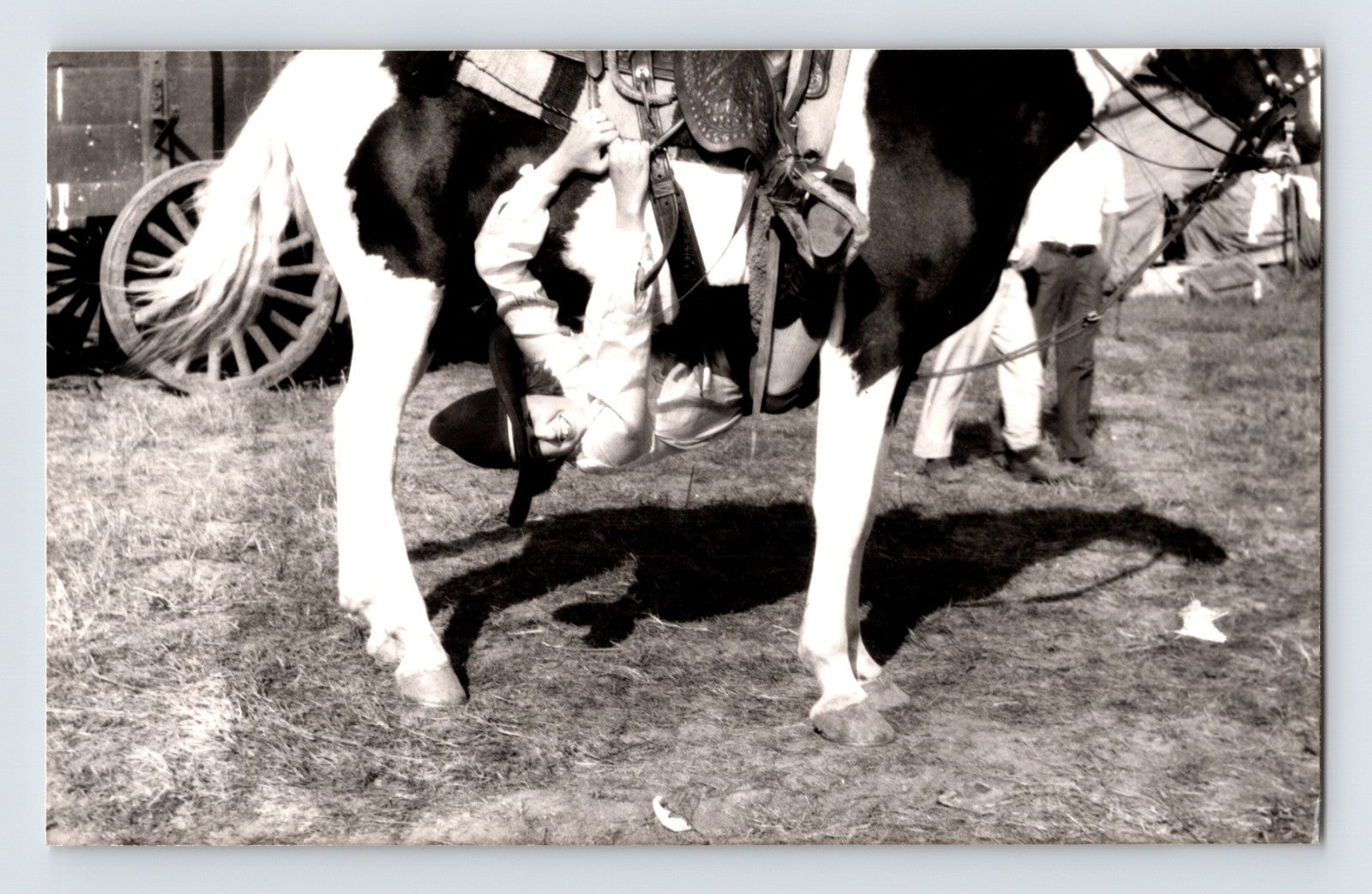 Miller Bros 101 Ranch Wild West circus cowgirl performing trick riding beneath horse