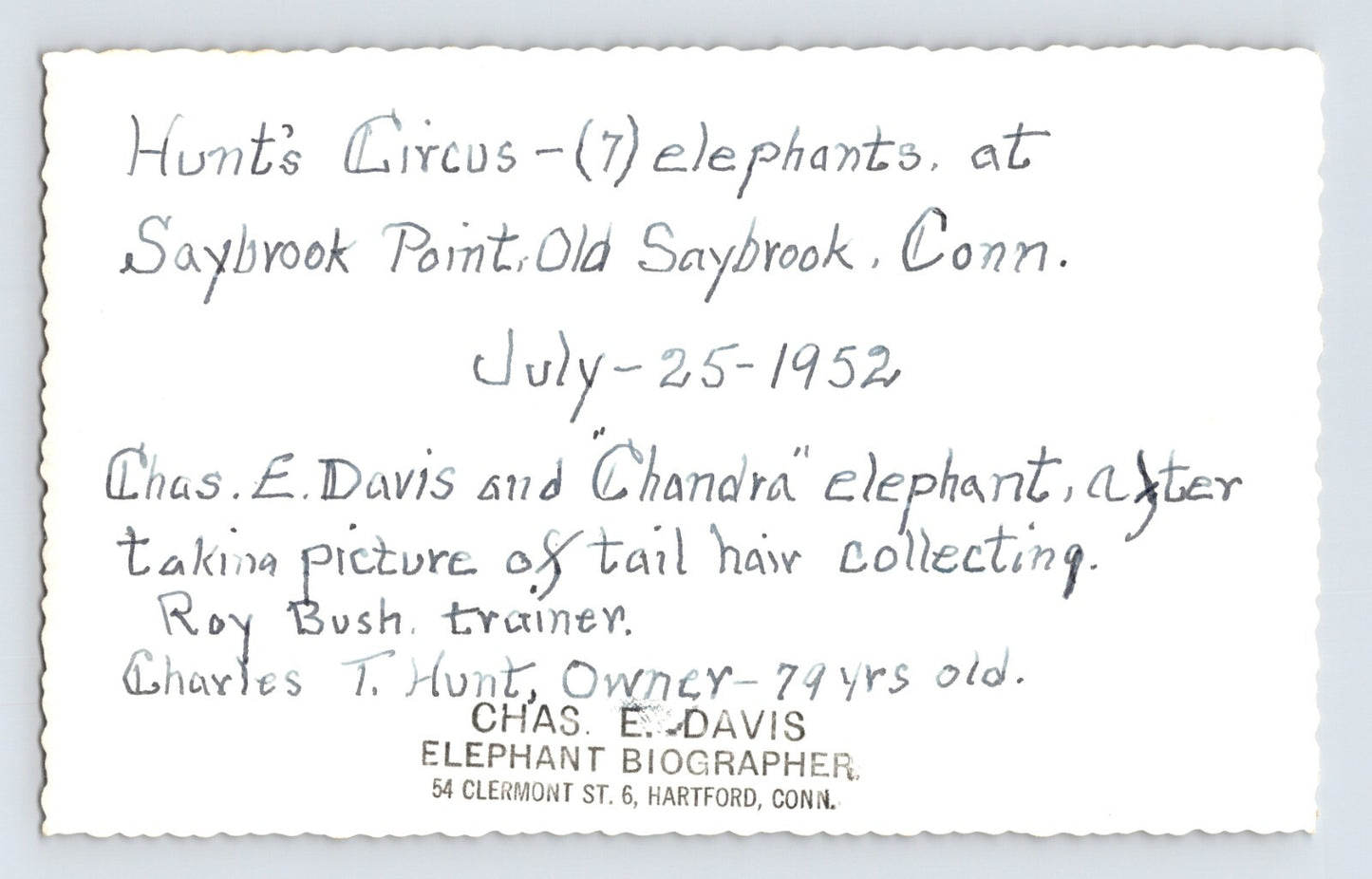 Hunt Bros Circus 1952 Photo Elephant Grooming Saybrook CT 5.5 x 3.5