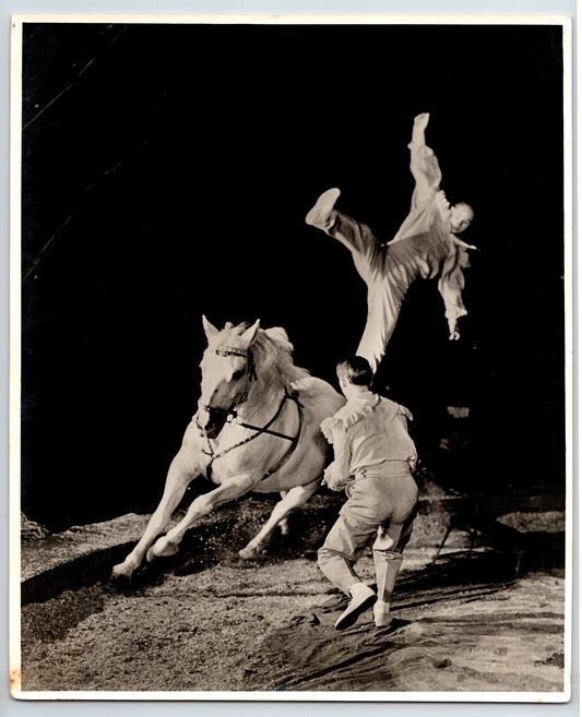 Circus Horse 1940s Photo Stunt Performers Acrobats 8 x 10