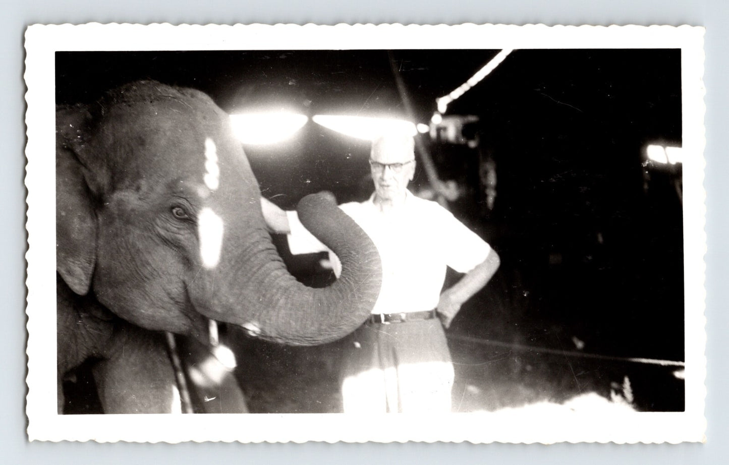Hunt Bros Circus 1952 photograph showing elephant and circus employee during nighttime grooming scene in Saybrook Connecticut.
