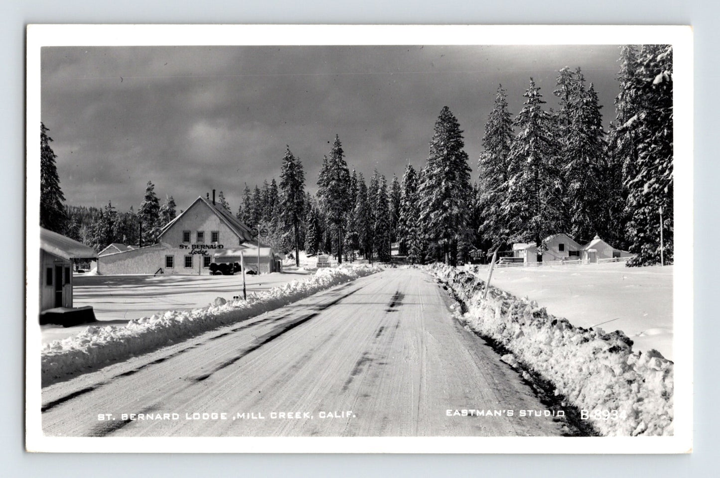 Real photo postcard of St Bernard Lodge in Mill Creek California showing snow covered roadway and tall pine trees in winter