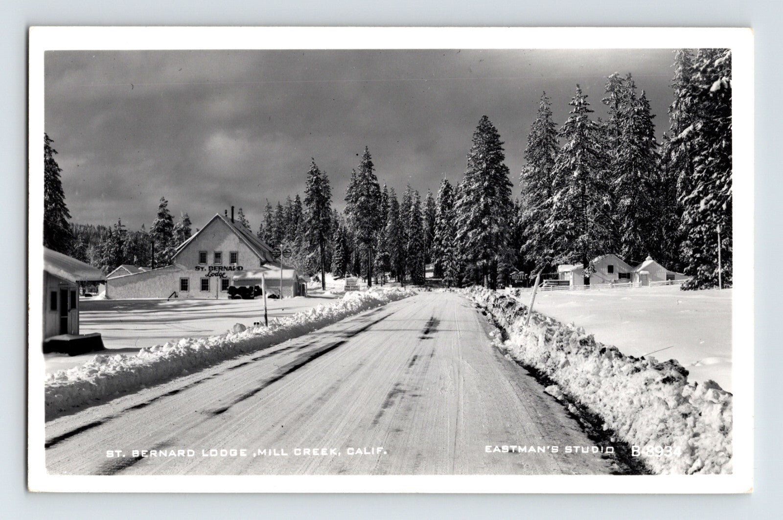 Real photo postcard of St Bernard Lodge in Mill Creek California showing snow covered roadway and tall pine trees in winter