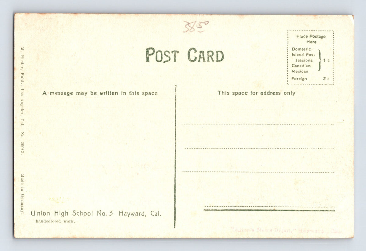 Hayward California Union High School 1910s Hand Colored Postcard Unposted
