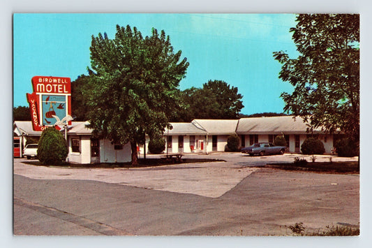LaFollette Tennessee Birdwell Motel 1960s Postcard Unposted Chrome