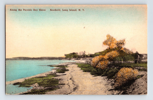 Southold New York Peconic Bay Shore Long Island 1930s Postcard Unposted