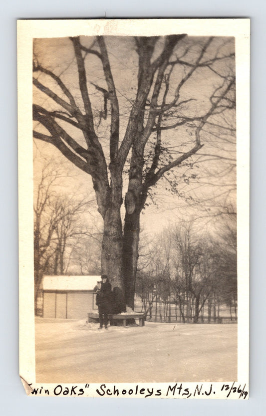 Vintage sepia-toned photograph of a large tree with a person sitting on a bench underneath, labeled 'Win Oaks Schooley's Mt., N.