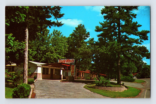 Eureka Springs Arkansas Tradewinds Motel roadside motor court pine trees 1960s chrome postcard