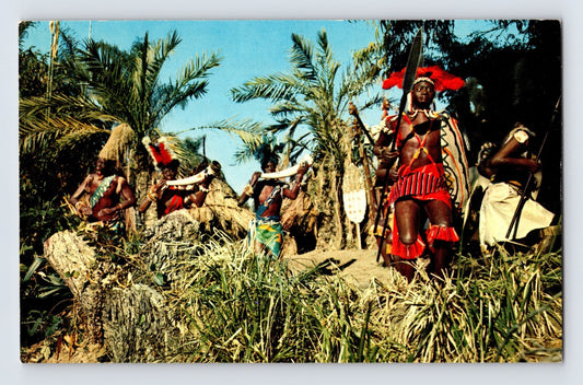 Disneyland Anaheim California Jungle Drum Chant Adventureland 1960s Postcard