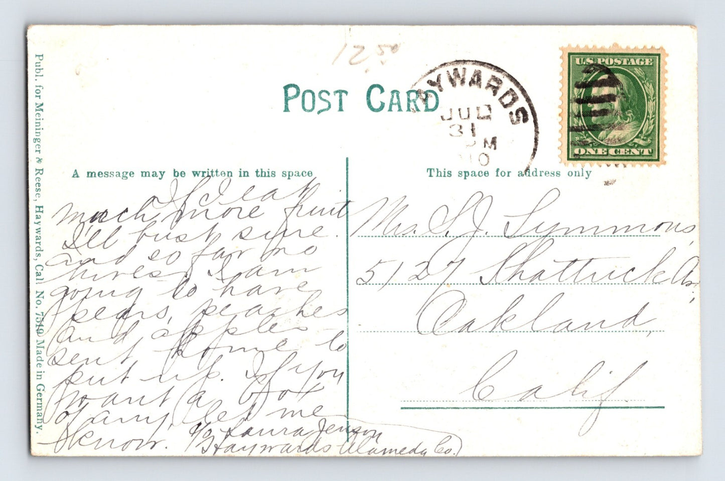 Hayward California Cherry Orchard Bloom Trees 1910 Postcard Unposted Divided