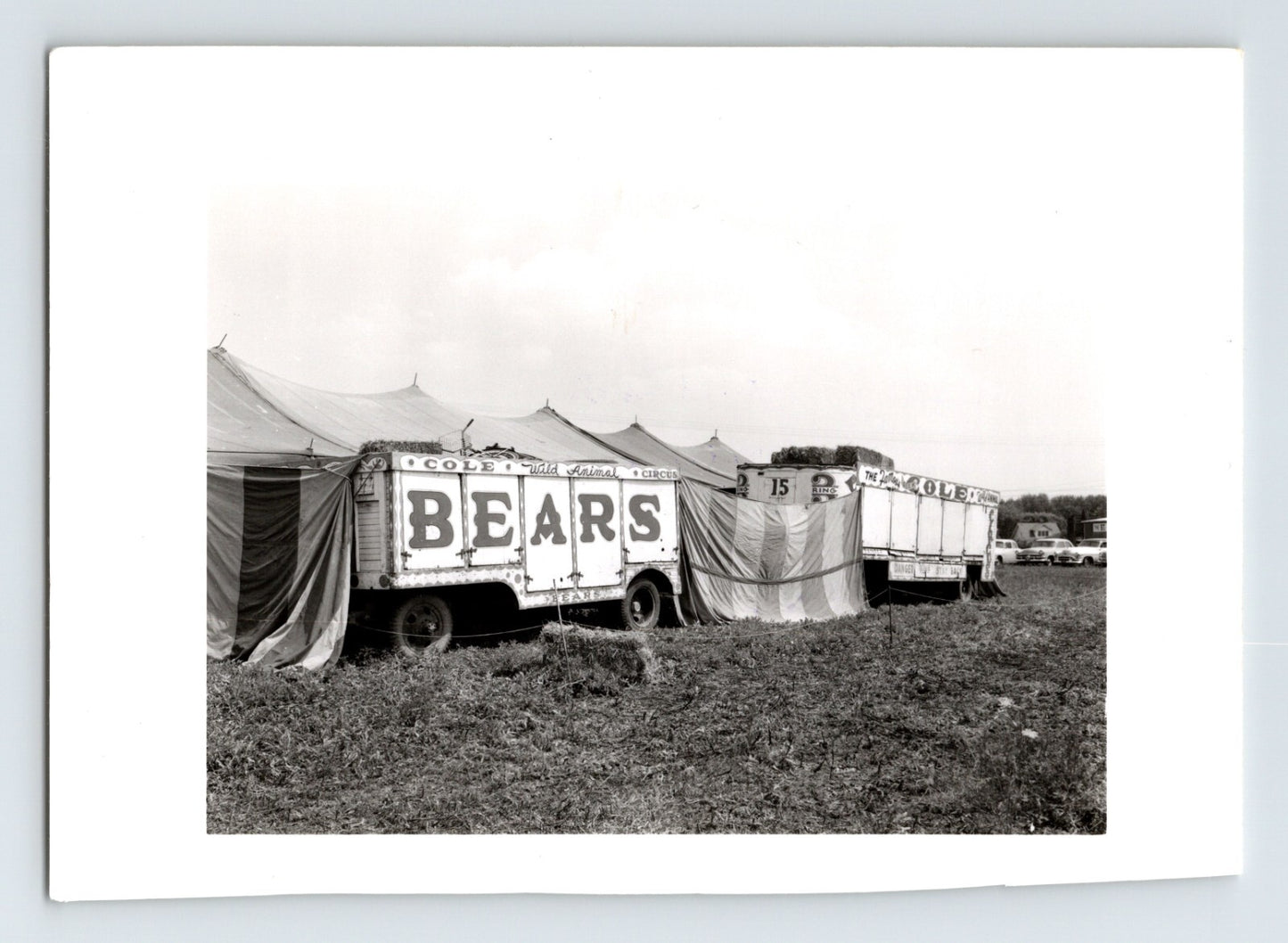 George Cole Circus 1954 bear cage truck Columbus Ohio vintage photo with canvas tents and transport wagons