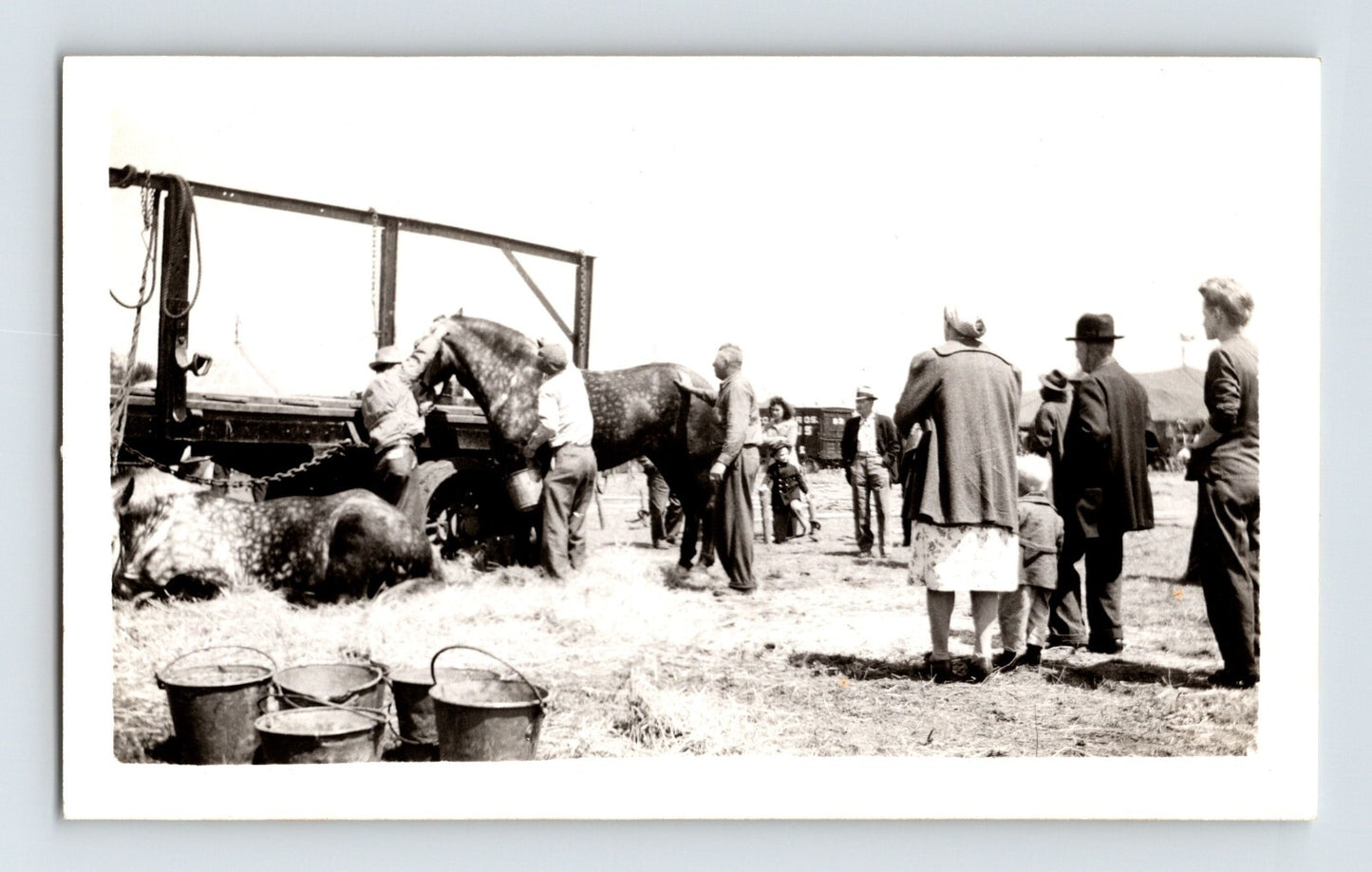 Cole Bros Circus 1945 photo feeding horses with handlers and onlookers near wagon equipment