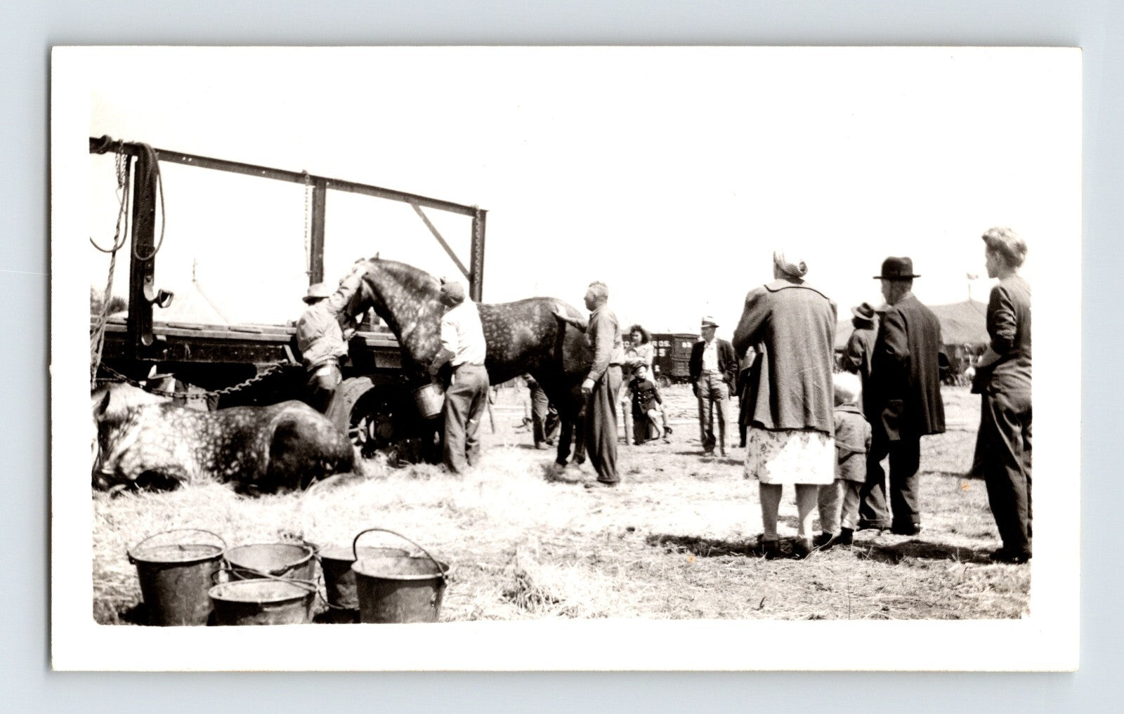 Cole Bros Circus 1945 photo feeding horses with handlers and onlookers near wagon equipment