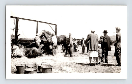 Cole Bros Circus 1945 photo feeding horses with handlers and onlookers near wagon equipment