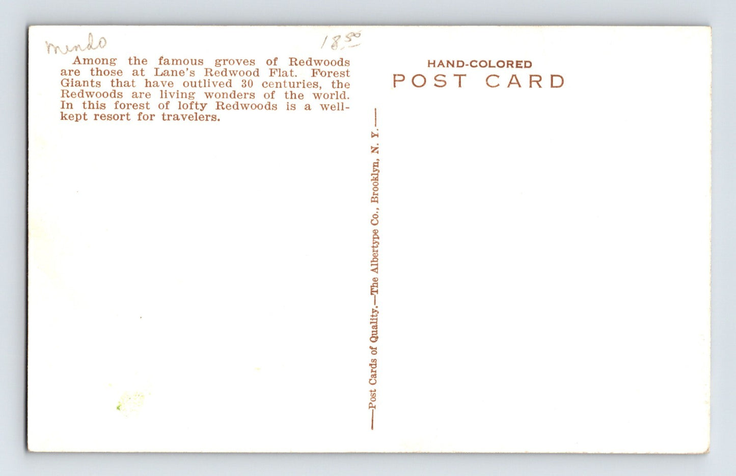 Mendocino California Lane Redwood Flat 1930s Postcard Hand Colored Posted