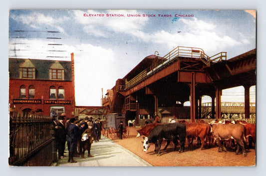Chicago Union Stock Yards cattle elevated rail station Swift Rosenbaum workers 1911 postcard