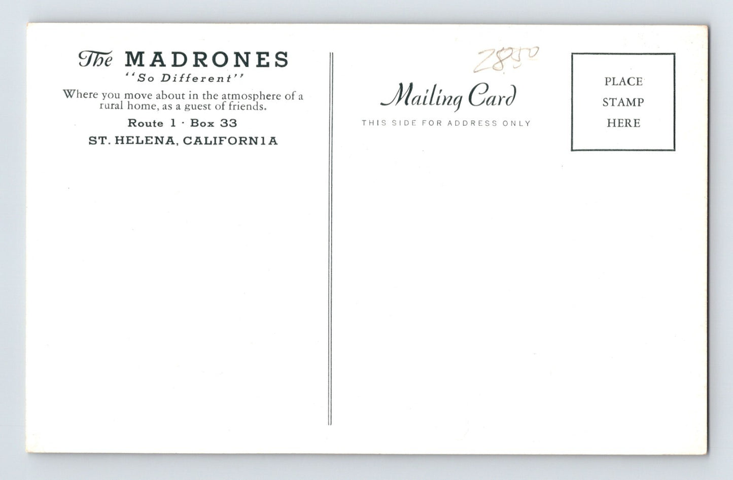 St Helena California Madrones Inn 1940s Postcard Unposted