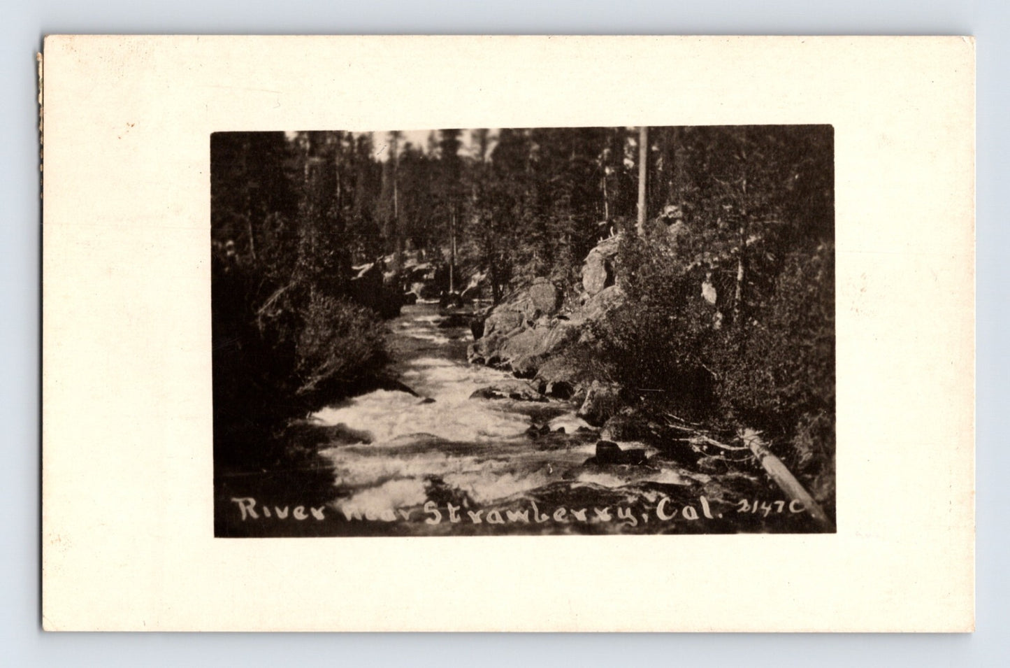 Stanislaus River Strawberry California forested river scene 1916 real photo postcard posted Confidence