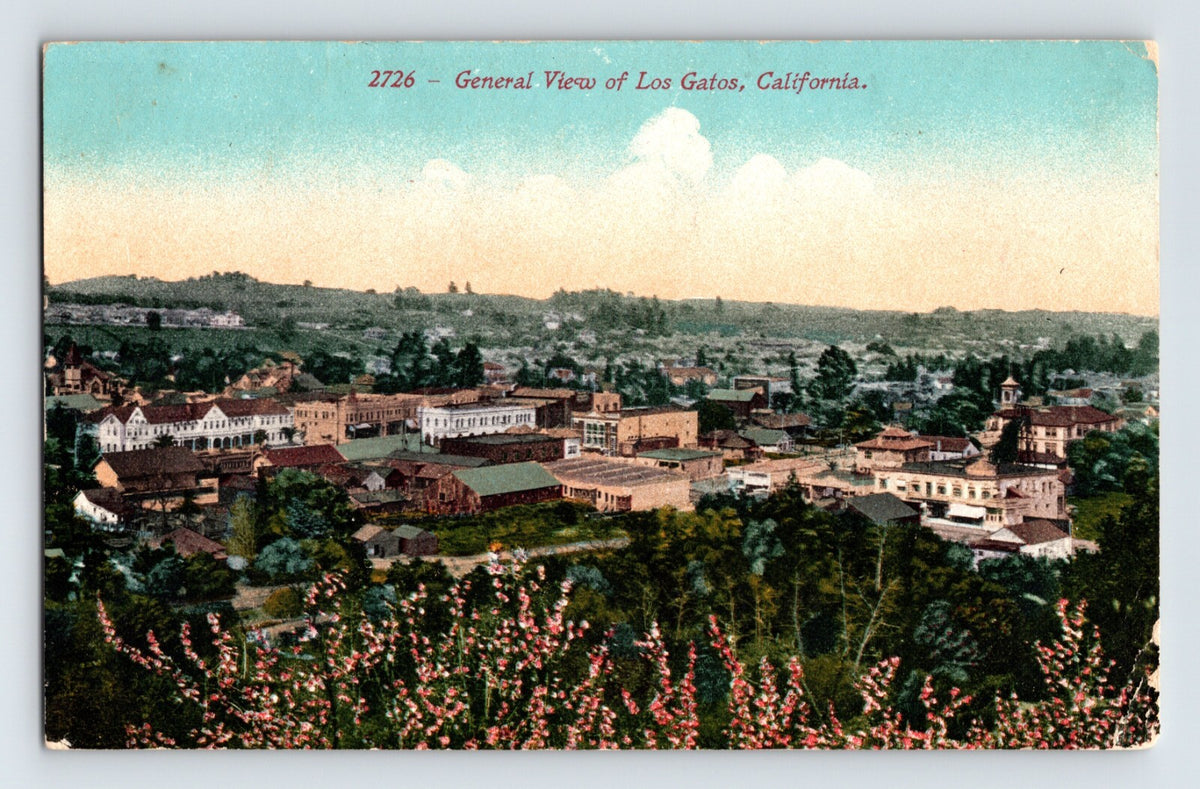 Vintage postcard showing a general aerial view of Los Gatos California with downtown buildings, surrounding hills, and flowering shrubs in the foreground.