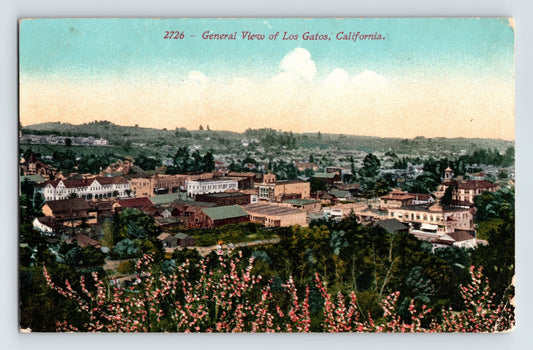 Vintage postcard showing a general aerial view of Los Gatos California with downtown buildings, surrounding hills, and flowering shrubs in the foreground.