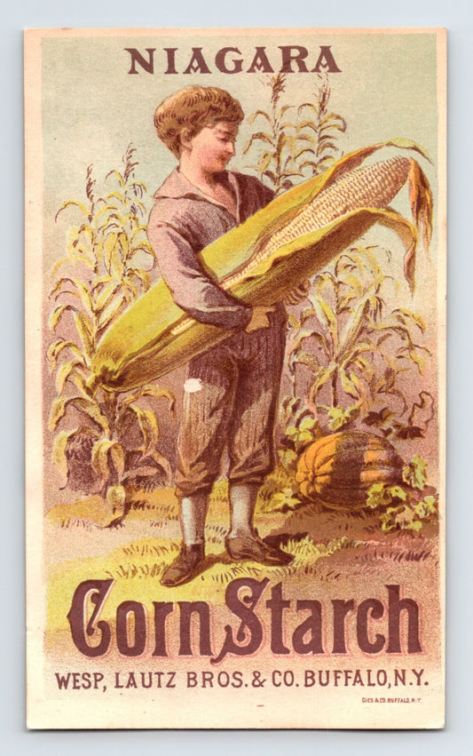 Niagara Corn Starch Victorian trade card boy holding giant corn cob fantasy illustration 1890s