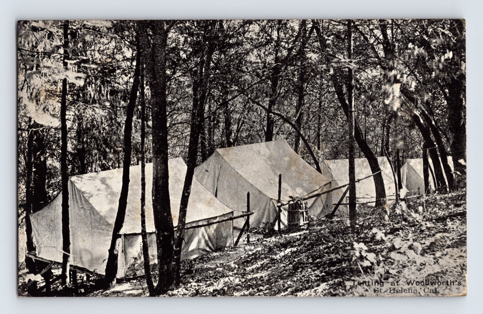 St Helena California Woodworths Camp ground tents 1915 postcard with wooded hillside campsite and canvas tents