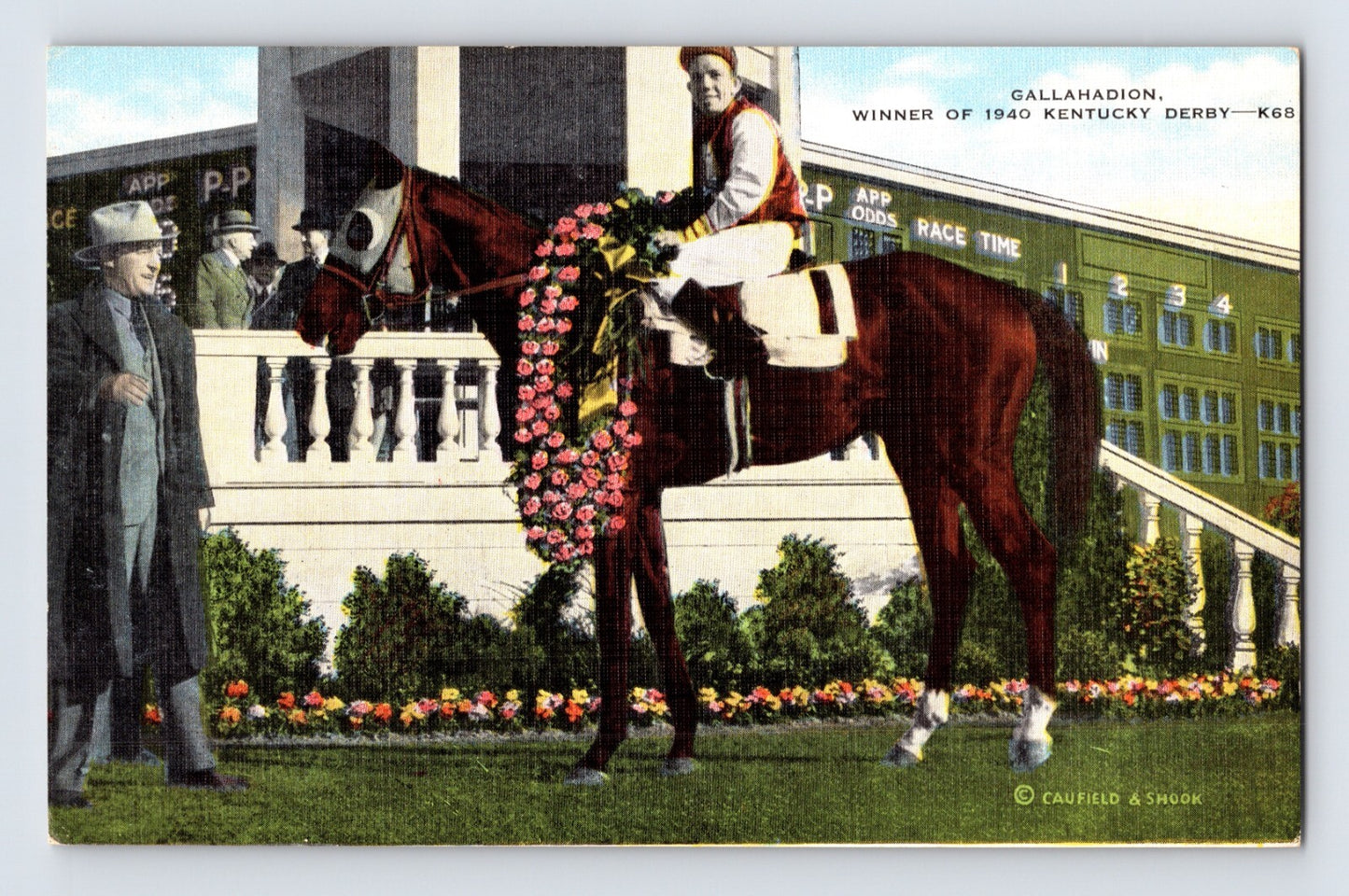 Louisville Kentucky Gallahadion Derby Horse Racing 1940s Postcard Unposted