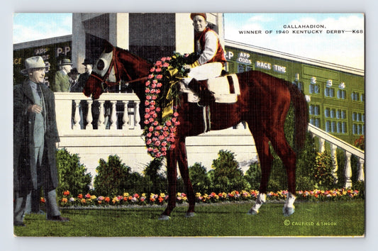 Louisville Kentucky Gallahadion Derby Horse Racing 1940s Postcard Unposted