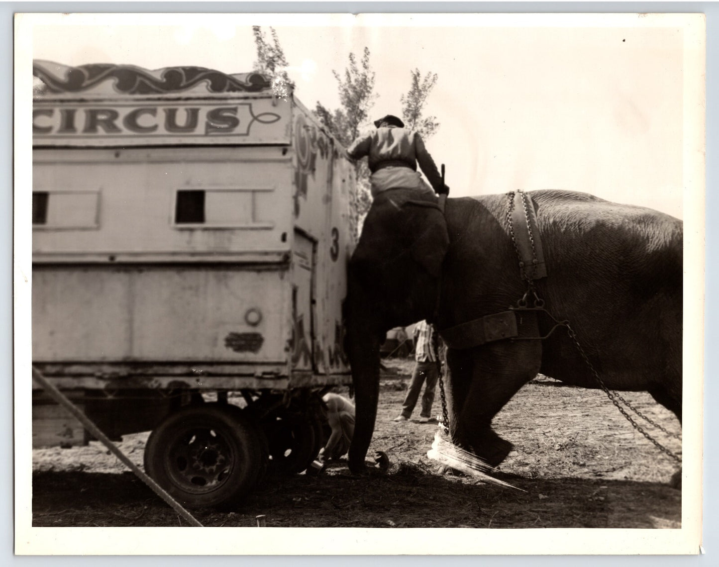 Vintage black and white photo of a circus trailer with an elephant and person nearby.