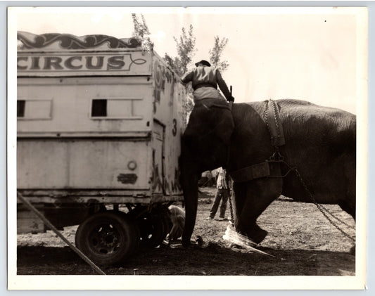 Vintage black and white photo of a circus trailer with an elephant and person nearby.