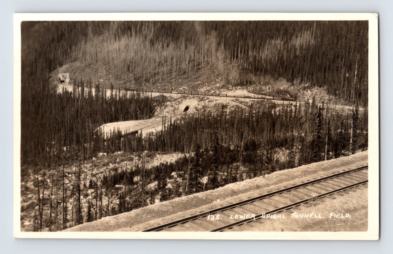 Field British Columbia spiral tunnel railroad tracks mountain landscape 1940s RPPC