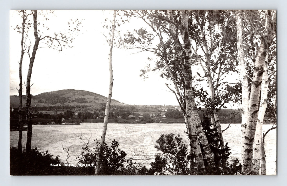 Blue Hill Maine harbor view birch trees shoreline hillside photo 1950s