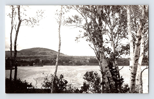Blue Hill Maine harbor view birch trees shoreline hillside photo 1950s