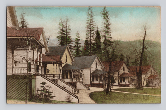 Mt Shasta California Springs Hotel cottages hand colored postcard forest resort cabins