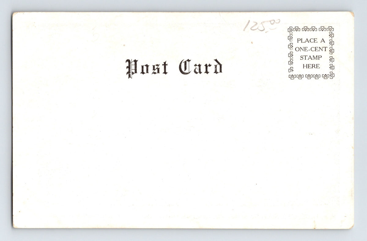 Oakland California Idora Park Fageol Miniature Railroad Pre-1907 Postcard