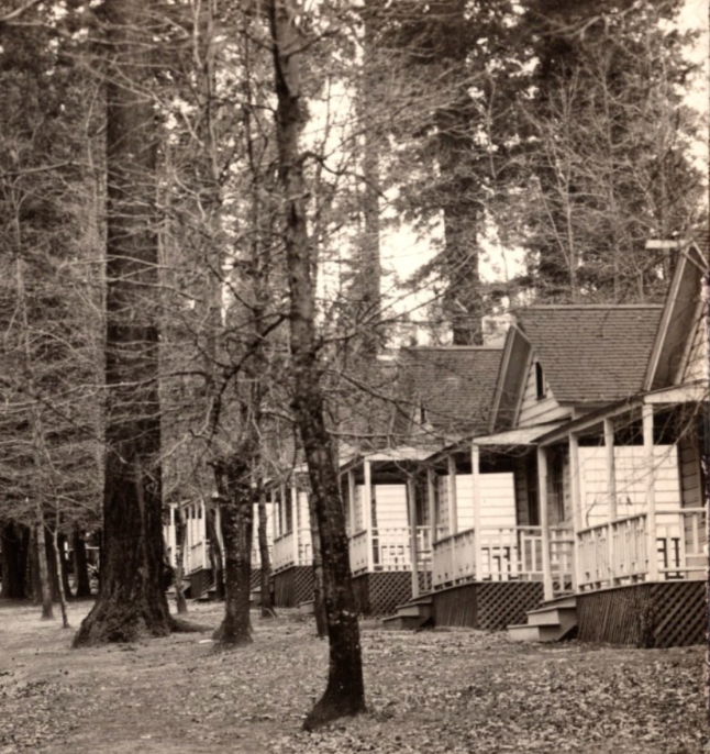 Shasta Springs California Club House Cottages 1910s RPPC Postcard Unposted