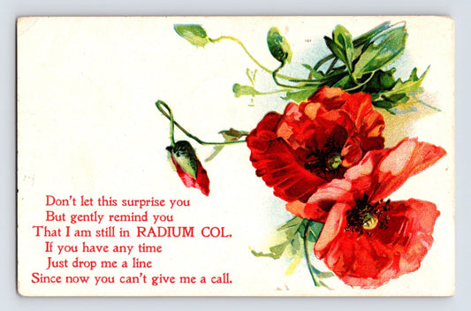 Radium Colorado Red Wild Rose Floral Verse 1910 Divided Back Postcard