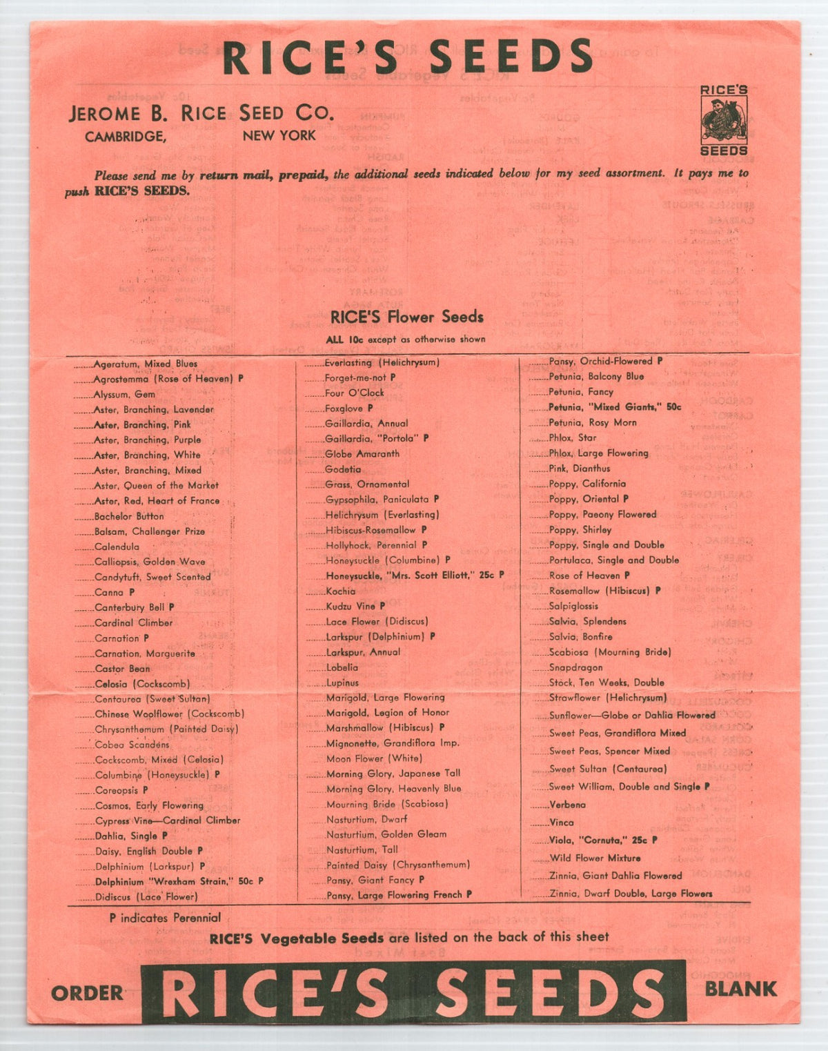 Cambridge New York 1936 Rice Seed Company Billhead Catalog 2-Page 8.5 x 11